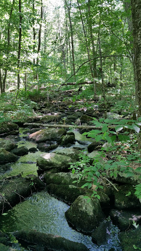 Nature Preserve «Summer Star Wildlife Sanctuary», reviews and photos, 690 Linden St, Boylston, MA 01505, USA