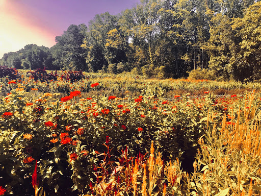 Farm «Langwater Farm», reviews and photos, 209 Washington St, North Easton, MA 02356, USA