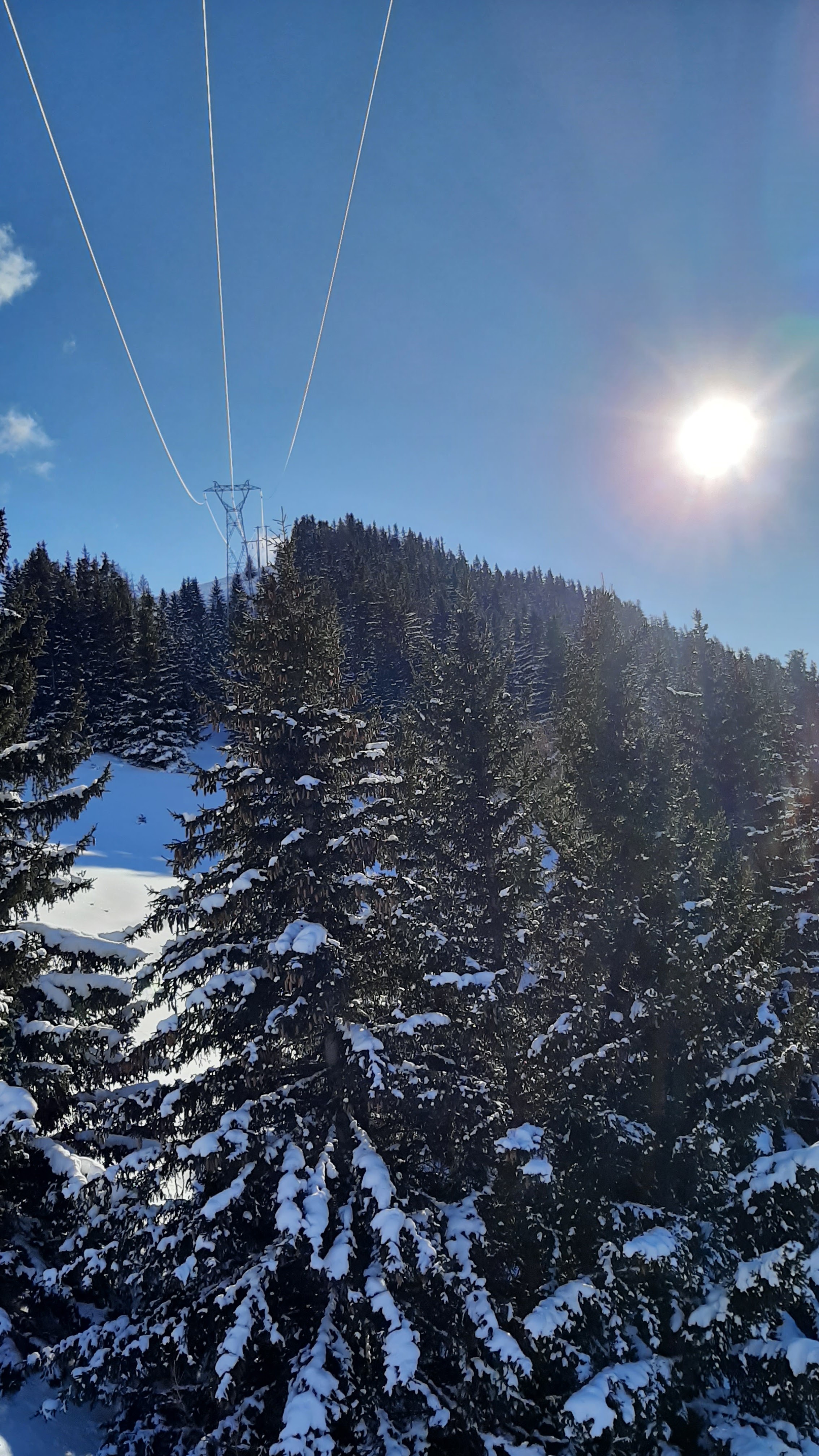 Photo n° 2 de l'avis de Ineke.c fait le 22/01/2023 à 22:59