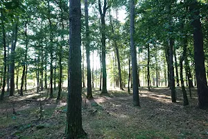 Nature Park Klánovice-Čihadla image