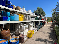 Quartz Hill Garden Center - Photo 6 - Car repair in Lancaster, CA, Lancaster