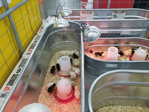 Home Improvement Store «Tractor Supply Co.», reviews and photos, 82 Turnpike Rd, Ipswich, MA 01938, USA