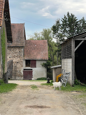 Aire de camping car à la ferme de la chaume à Chiddes