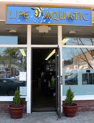 Tropical Fish Store «Life Aquatic», reviews and photos, 9 South Ave, New Canaan, CT 06840, USA
