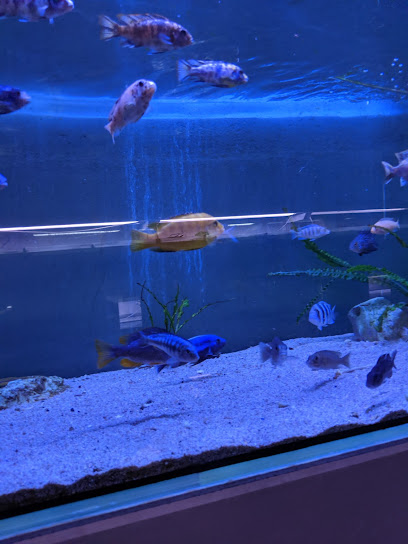 Aquariums Nguyen