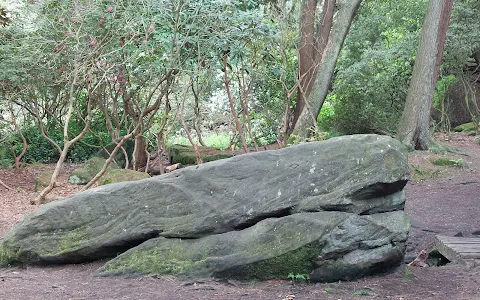 Whale Rock image