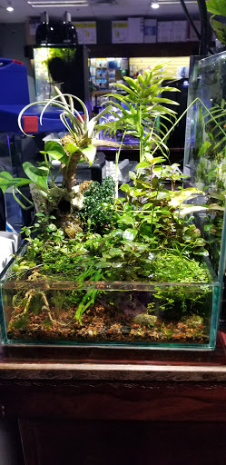 Tropical Fish Store «Optimum Aquarium», reviews and photos, 840 Ernest W Barrett Pkwy NW #700, Kennesaw, GA 30144, USA