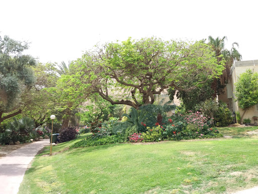 Ein Gedi Botanical Garden