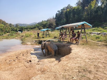 Elephant Sanctuary Camp 9