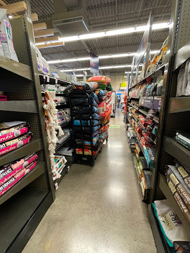 Pet Supply Store «Petco Animal Supplies», reviews and photos, 5994 Montana Ave, El Paso, TX 79925, USA