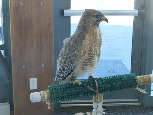 Nature Preserve «Audubon Center at Riverlands», reviews and photos, 301 Riverlands Way, West Alton, MO 63386, USA