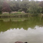 Photo n°8 de l'avis de Alisa.a fait le 18/07/2023 à 14:01 sur le  Cafe Gans am Wasser à Munich