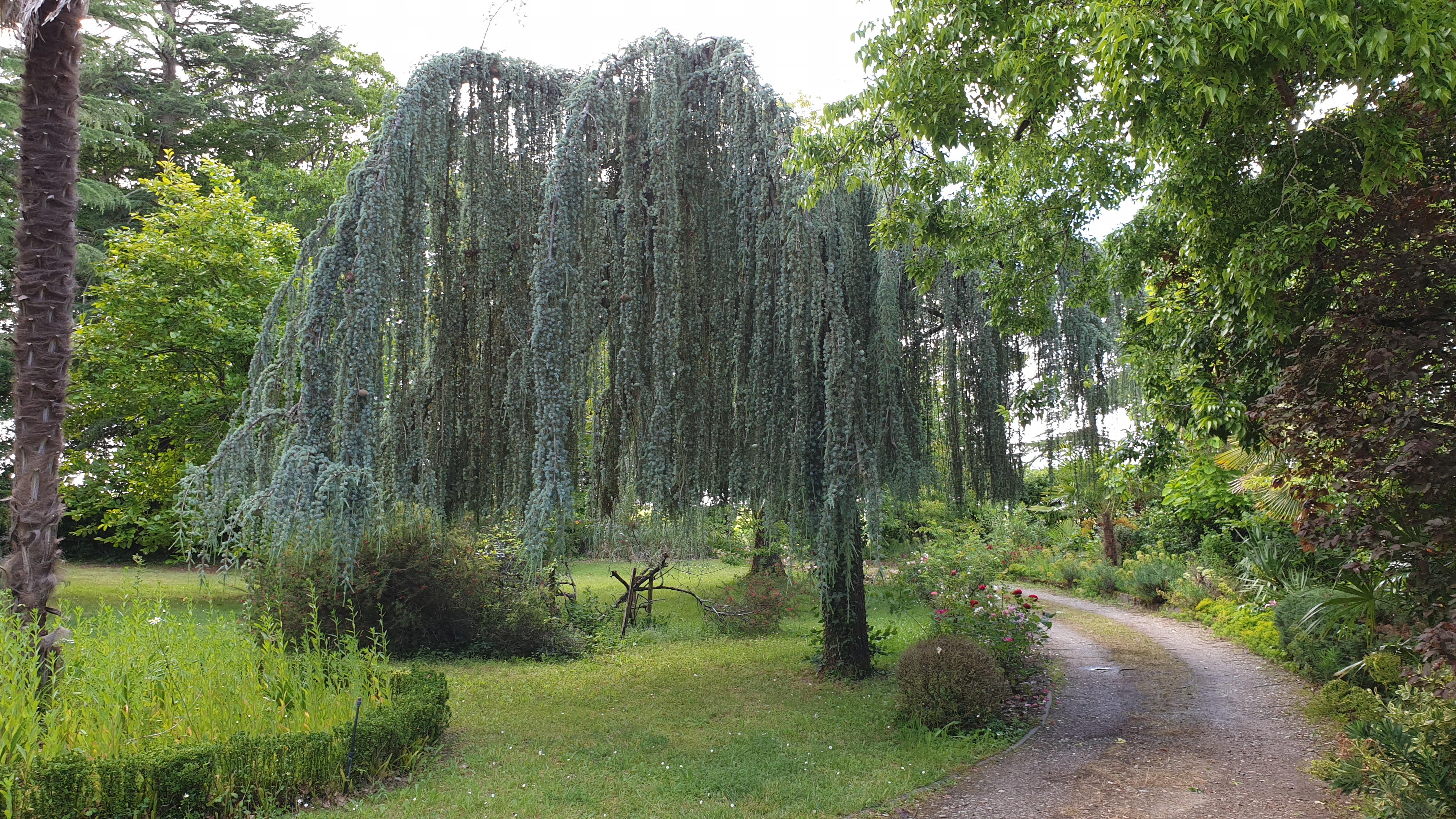 Photo n° 5 de l'avis de ER.B fait le 28/05/2019 à 19:01