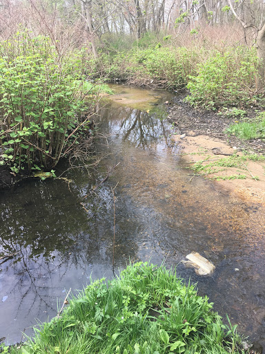 Nature Preserve «Brookside Preserve», reviews and photos, N Brookside Ave, Roosevelt, NY 11575, USA