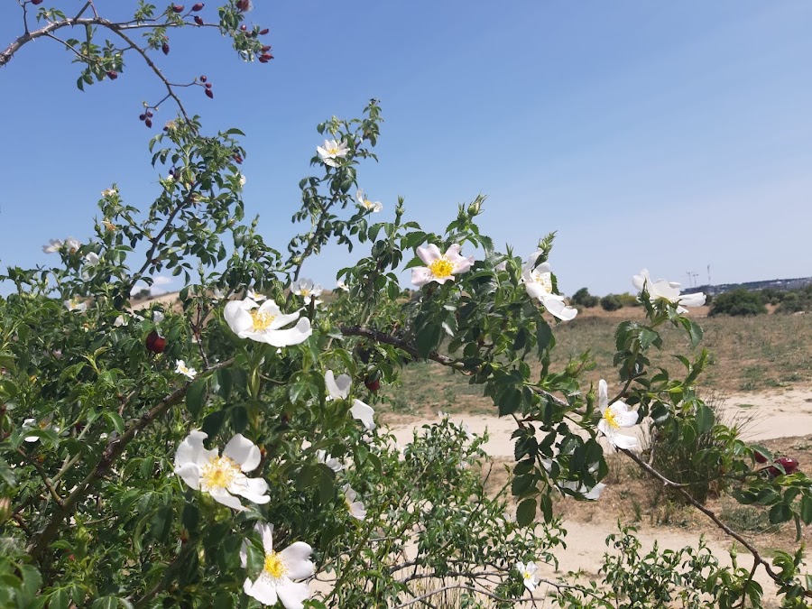 Espacio Natural de Los Carriles