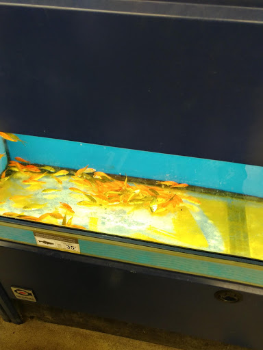 Pet Supply Store «Petco Animal Supplies», reviews and photos, 175 Grandview Blvd #600, Madison, MS 39110, USA