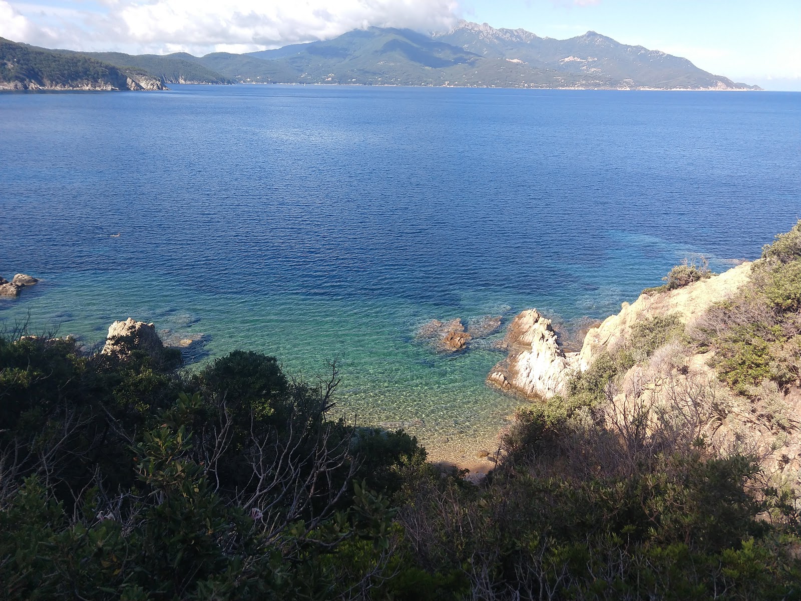 Φωτογραφία του Caletta Pinetina άγρια περιοχή