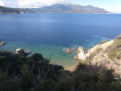 Caletta Pinetina'in fotoğrafı doğal alan içinde bulunmaktadır