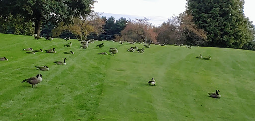 Golf Course «Elbel Golf Course», reviews and photos, 26595 Auten Rd, South Bend, IN 46628, USA