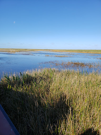 Tourist Attraction «Blackwater Airboat Tours», reviews and photos, US-27, Pompano Beach, FL 33321, USA