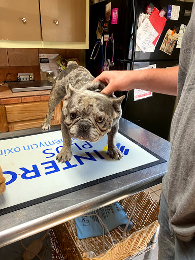 Atoka Veterinary Clinic INC image