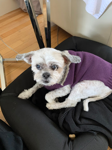 Pet Supply Store «PetSmart», reviews and photos, 104 Andover St, Danvers, MA 01923, USA