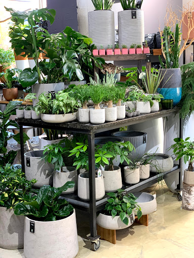 Florist «Red Square Flowers», reviews and photos, 337 W Mifflin St, Madison, WI 53703, USA