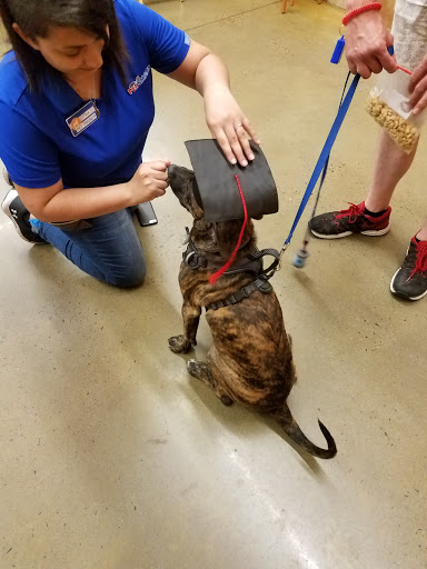 Pet Supply Store «PetSmart», reviews and photos, 132 NJ-31, Flemington, NJ 08822, USA