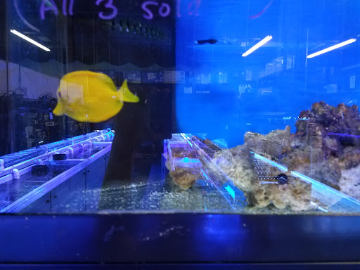 Pet Store «Tanks A Lot Aquariums», reviews and photos, 6680 Lantana Rd, Lake Worth, FL 33467, USA