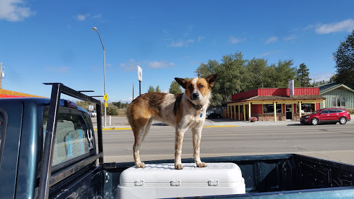 Outdoor Sports Store «Great Outdoor Shop», reviews and photos, 332 W Pine St, Pinedale, WY 82941, USA