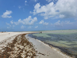 Praia do Capitao'in fotoğrafı - rahatlamayı sevenler arasında popüler bir yer