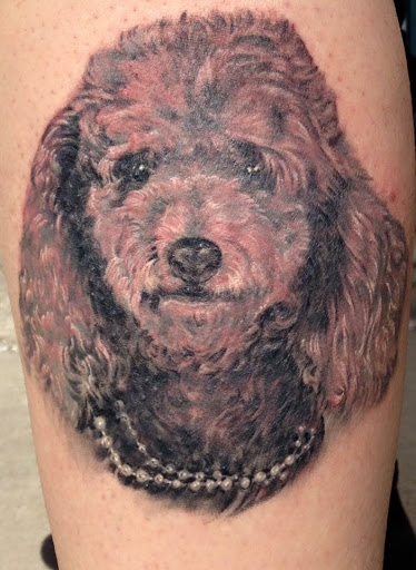 Tattoo Shop «Moth Studio», reviews and photos, 428 W Commercial St, Springfield, MO 65803, USA