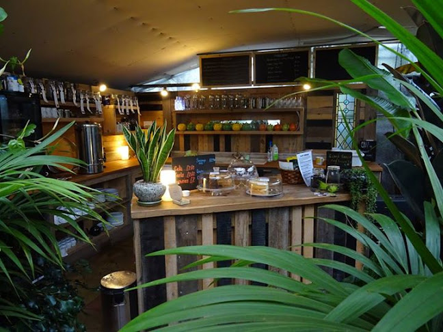 Reviews of The Café at Urban Jungle Norfolk in Norwich - Coffee shop