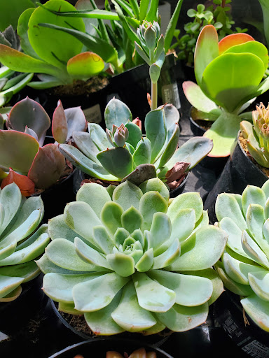 Home Improvement Store «The Home Depot», reviews and photos, 1300-1320 Corporate Dr, Westbury, NY 11590, USA