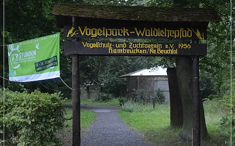 Vogelpark Hambrücken image