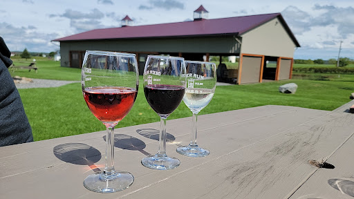 Winery «Deer Run Winery», reviews and photos, 3772 W Lake Rd, Geneseo, NY 14454, USA