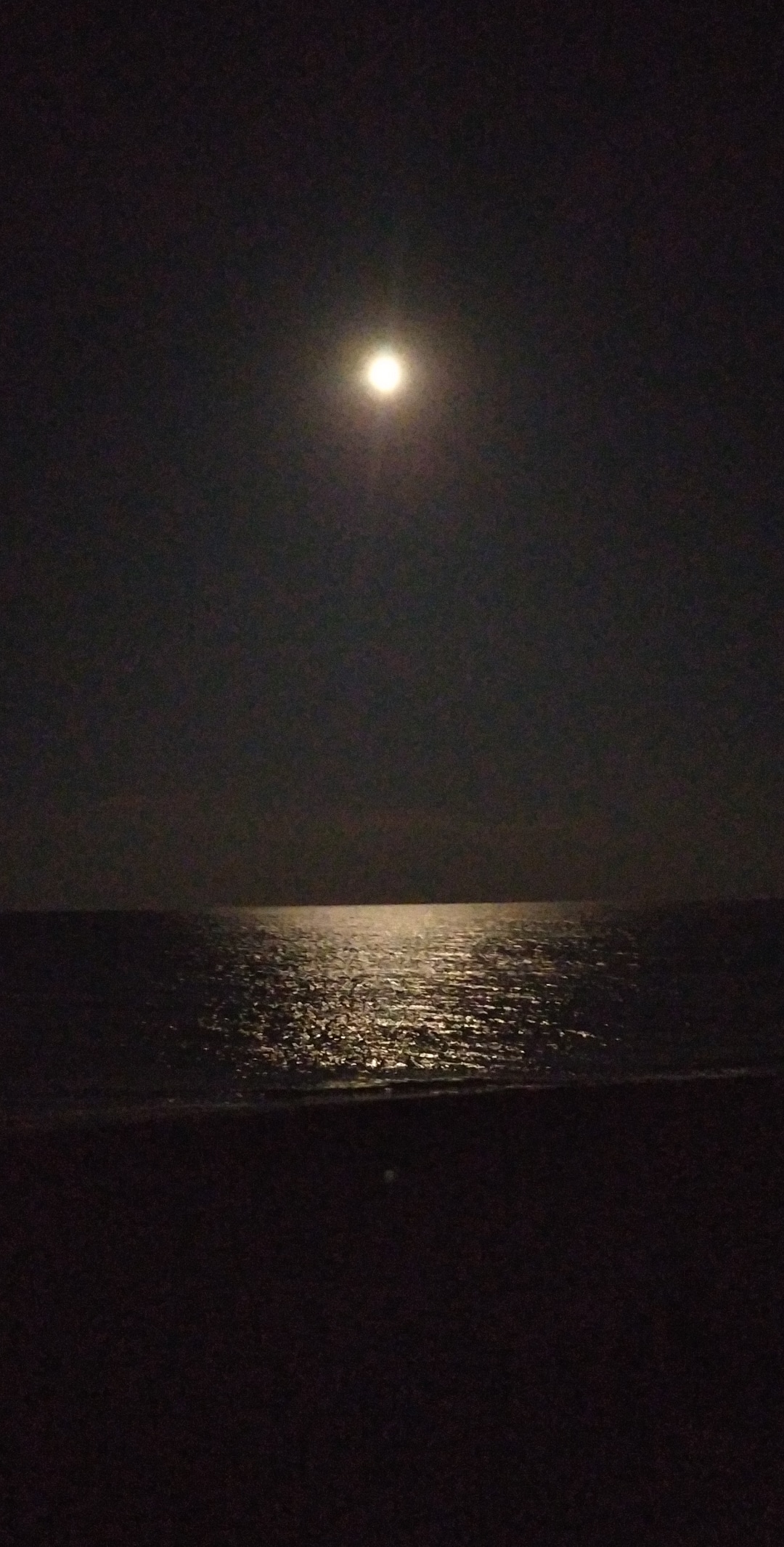 Photo n° 3 de l'avis de samuel.e fait le 04/08/2019 à 21:50