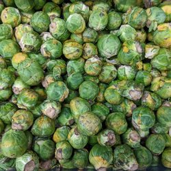 Grocery Store «Ralphs», reviews and photos, 1435 W Chapman Ave, Orange, CA 92868, USA