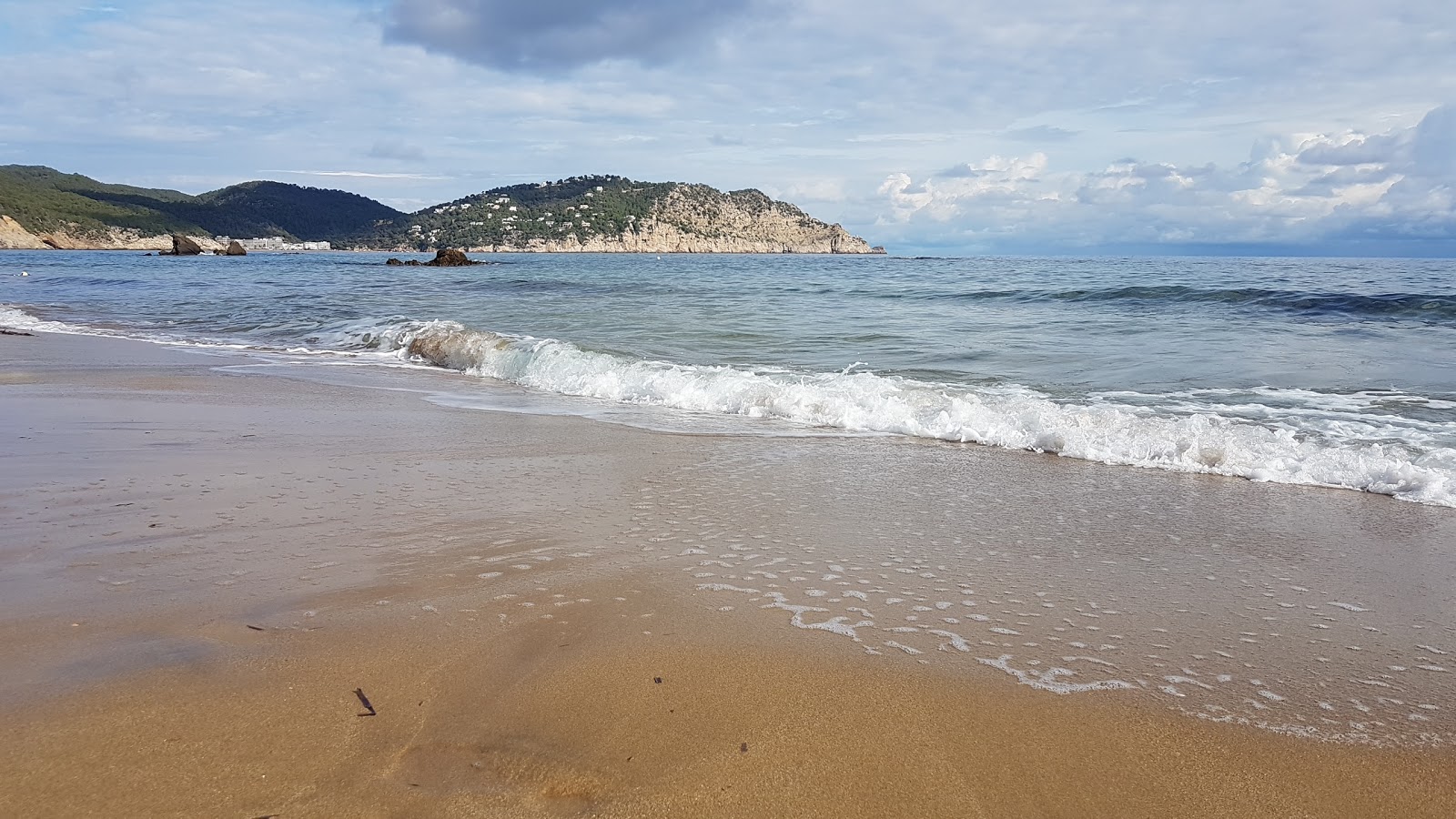 Foto de Platja des Figueral área de servicios