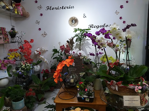 Floristeria & Regalos La Pirámide – Cuautla