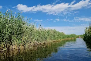 Rzeka Piaśnica image