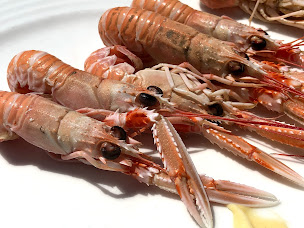 Photo n°141 de Le Vivier à Quiberon ()