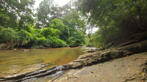 Golf Course «Chastain Park Golf Course», reviews and photos, 216 W Wieuca Rd NW, Atlanta, GA 30342, USA