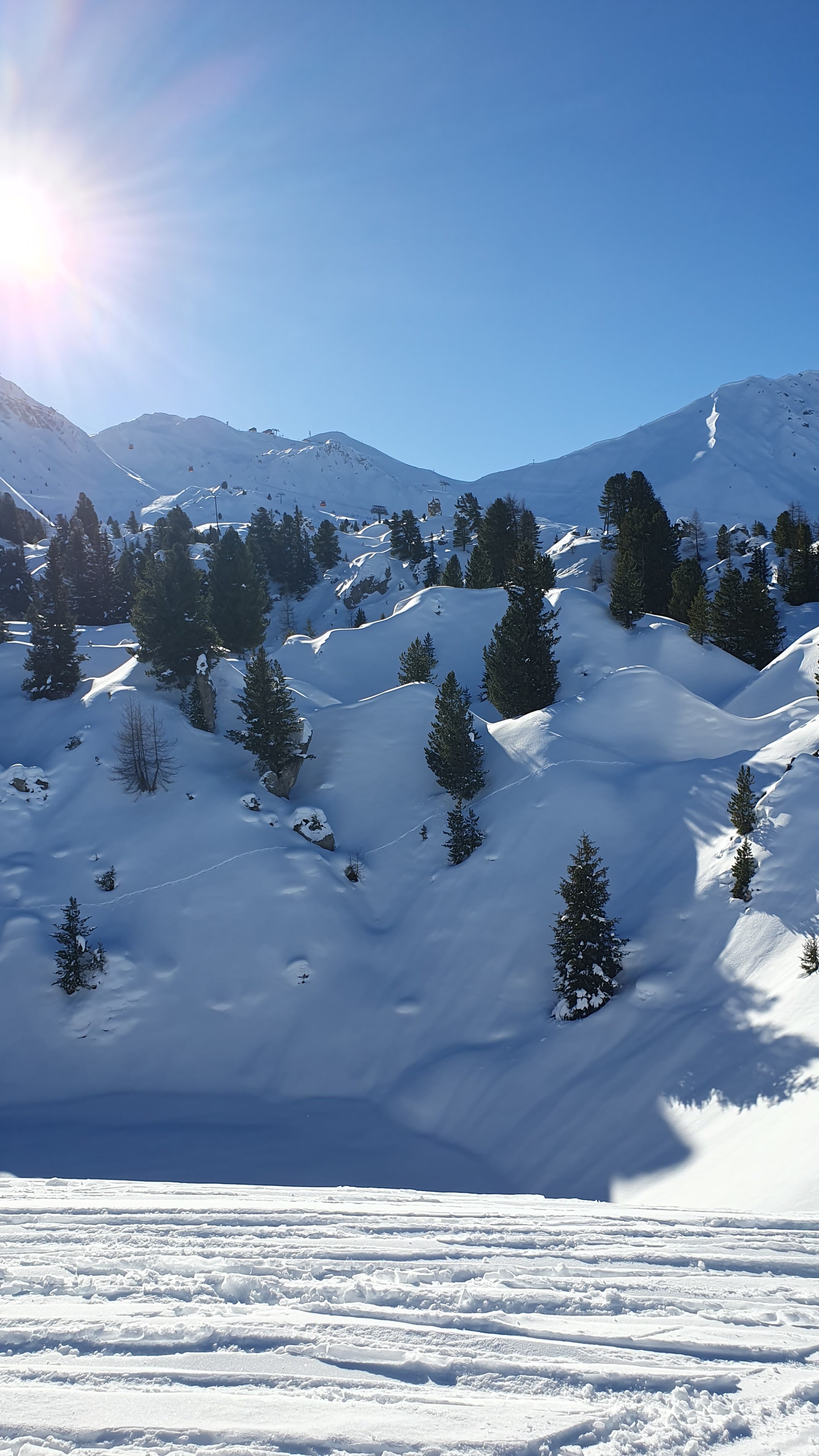 Photo n° 9 de l'avis de phannye. fait le 13/01/2024 à 14:44