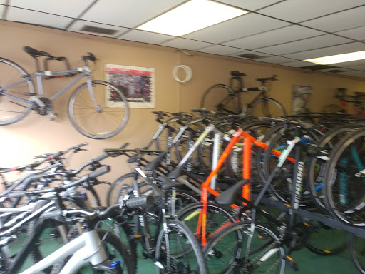 Bicycle Store «Ringling Bicycles», reviews and photos, 3606 Manatee Ave W, Bradenton, FL 34205, USA