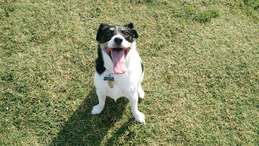 Recreation Center «Rosemeade Recreation Center», reviews and photos, 1330 E Rosemeade Pkwy, Carrollton, TX 75007, USA