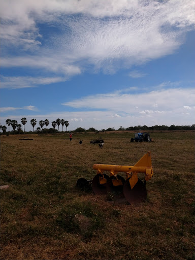 Golf Club «Meadowood Golf and Tennis Club», reviews and photos, 9425 Meadowood Dr, Fort Pierce, FL 34951, USA