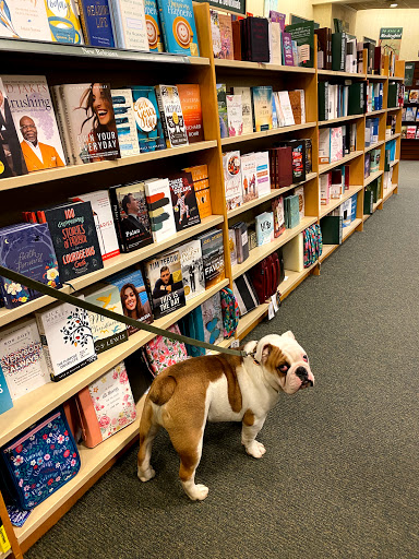 Book Store «Barnes & Noble», reviews and photos, 9891 Waterstone Blvd, Cincinnati, OH 45249, USA