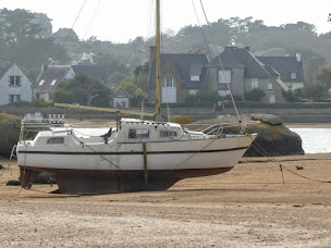 Photo n°26 de Parking Ile Renote à Trégastel ()