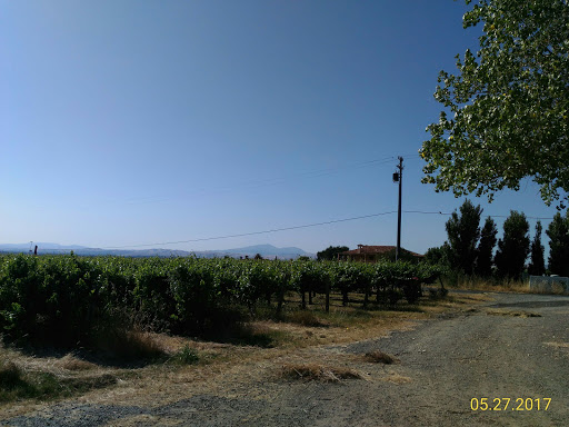 Winery «White Crane Winery», reviews and photos, 5405 Greenville Rd, Livermore, CA 94550, USA